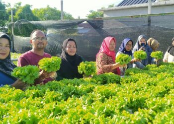 Tingkatkan Ekonomi Keluarga, TP PKK Labuhan Tangga Besar Pelajari Cara Penanaman Sistem Hidroponik
