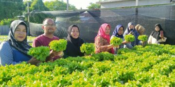 Tingkatkan Ekonomi Keluarga, TP PKK Labuhan Tangga Besar Pelajari Cara Penanaman Sistem Hidroponik