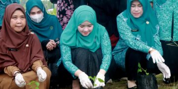 HKG PKK Ke-52, Ketua TP PKK Kabupaten Pelalawan Ikut Serta Dalam Gerakan Serentak Menanam Cabai