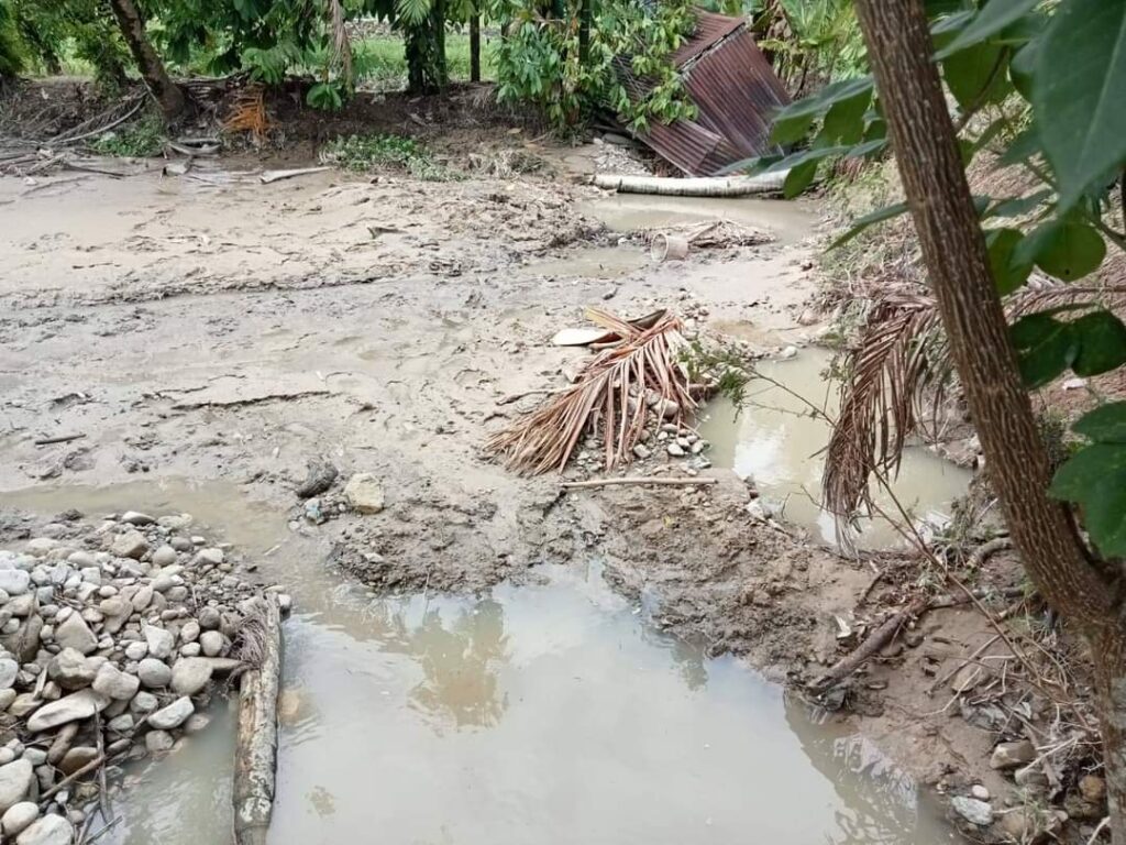 Banjir Bandang Tutupi Kolam Ikan, Warga Desa Aek Botik Meminta Bantuan Pemulihan dari Pemkab Taput