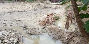 Banjir Bandang Tutupi Kolam Ikan, Warga Desa Aek Botik Meminta Bantuan Pemulihan dari Pemkab Taput