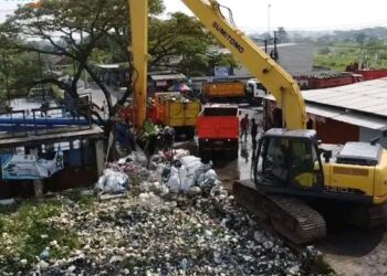 Dinas Lingkungan Hidup Terjunkan Excavator Jenis Long Arm dengan Metode Pengerukan