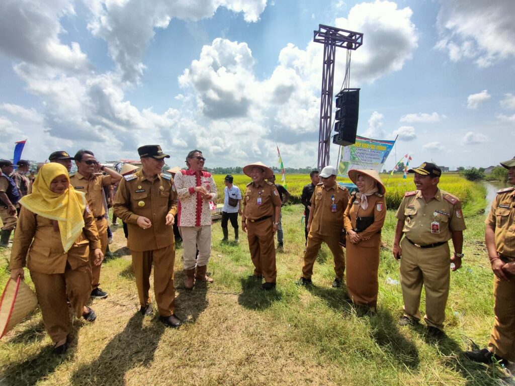 Pj.Tulang Bawang Hadiri Panen Raya Padi Sawah