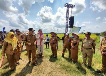 Pj.Tulang Bawang Hadiri Panen Raya Padi Sawah