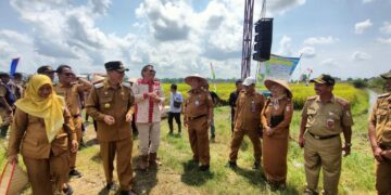 Pj.Tulang Bawang Hadiri Panen Raya Padi Sawah