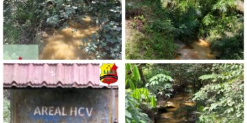 Tanami Sawit di Daerah Sepadan Sungai LSM Lingkungan Hidup Resmi Gugat PT.Serikat Putra