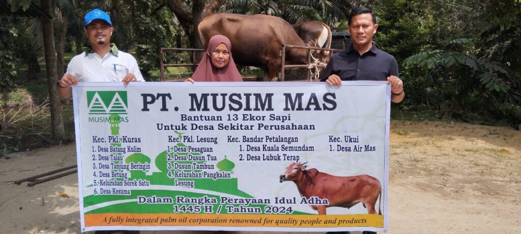 Menjelang Idul Adha 1145 H, PT.Musim Mas Bagikan 13 Ekor Sapi di Lingkungan Operasional Perusahaan