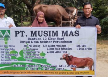 Menjelang Idul Adha 1145 H, PT.Musim Mas Bagikan 13 Ekor Sapi di Lingkungan Operasional Perusahaan