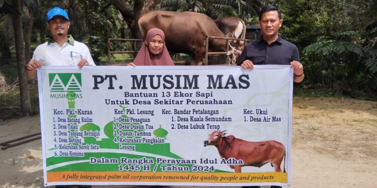 Menjelang Idul Adha 1145 H, PT.Musim Mas Bagikan 13 Ekor Sapi di Lingkungan Operasional Perusahaan