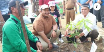 Dolly Putra Parlindungan Pasaribu Mencalonkan Melalui Jalur iIndevenden Sudah Sesuai Prosedur