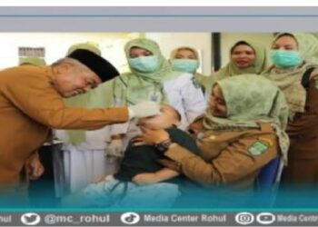 Pencanangan Pekan Imunisasi Nasional  Polio Tingkat Kabupaten Rokan Hulu Tahun 2024
