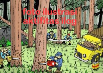 Maraknya Aktifitas Ilegal Loging di Kabupaten Pelalawan, Ketua Aliansi Jurnalis Penyelamat Lingkungan Hidup Angkat Bicara