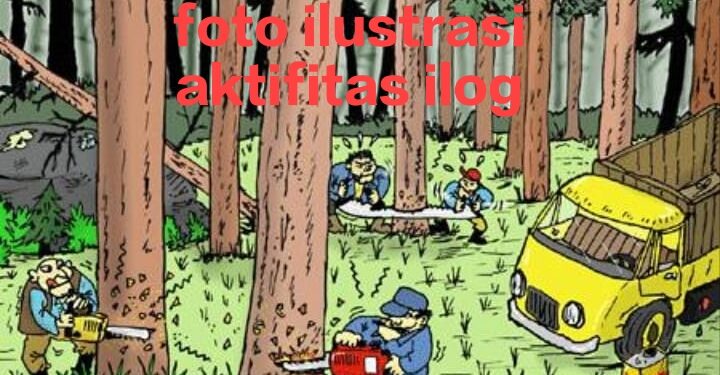 Maraknya Aktifitas Ilegal Loging di Kabupaten Pelalawan, Ketua Aliansi Jurnalis Penyelamat Lingkungan Hidup Angkat Bicara