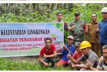 PT Cakra Alam Sejati Wujudkan Komitmen Pelestarian Lingkungan melalui Penaburan Benih Ikan dan Penghijauan Sungai