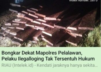 Pemilik Usaha Kayu Diduga Lakukan Pengancaman Terhadap Wartawan di Pangkalan Kerinci