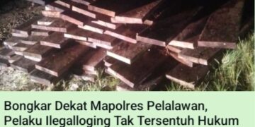 Pemilik Usaha Kayu Diduga Lakukan Pengancaman Terhadap Wartawan di Pangkalan Kerinci