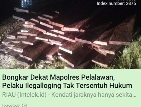 Pemilik Usaha Kayu Diduga Lakukan Pengancaman Terhadap Wartawan di Pangkalan Kerinci