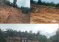 Diduga  Galian C Tanah Uruk Marak di Pelalawan, AJPLH Minta ESDM Bertindak Tegas