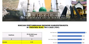 Rohul Catat Pertumbuhan Ekonomi Tertinggi di Riau, Bukti Kepemimpinan Visioner Bupati Anton dan Wabup Syafaruddin Poti