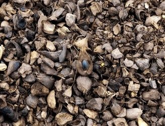 Marak Penampungan Cangkang dan Inti Diduga Hasil Penggelapan di Pangkalan Kuras