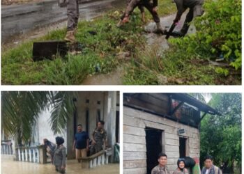 SATPOL PP Rohul Lakukan Peninjauan dan Aksi Gotong Royong di Lokasi Terdampak Banjir Desa Langkitin