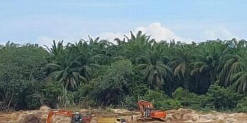 Tambang Galian C Diduga Ilegal di Sungai Batang Kumu Kian Meresahkan, Warga Desak Penindakan Tegas