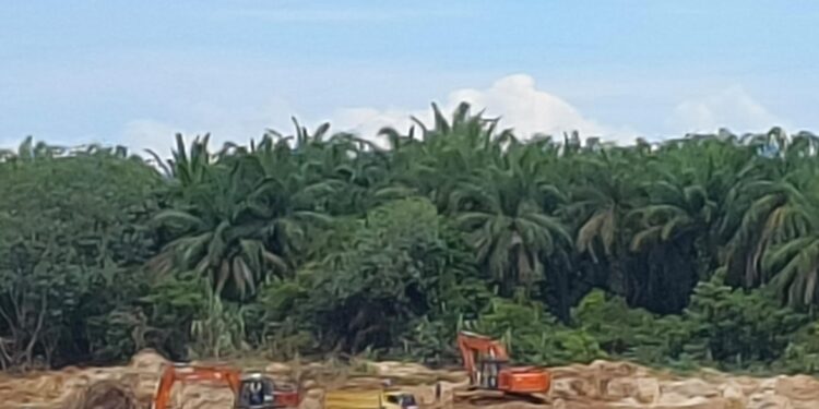 Tambang Galian C Diduga Ilegal di Sungai Batang Kumu Kian Meresahkan, Warga Desak Penindakan Tegas