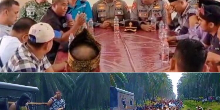 Mediasi Panas di Tengah Ribuan Massa Adat: Sengketa Lahan Ulayat Tambusai Ditahan Status Quo, Forum Lanjutan Digelar Hari Jumat di LKA