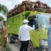 Tidak berkontribusi memperbaiki jalan rusak, Bupati Zukri Tegur Perusahaan Sawit