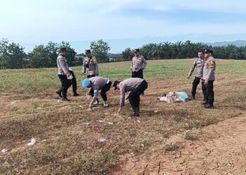Dukung Ketahanan Pangan, Kapolsek Rambah Cek Pertumbuhan Jagung Hibrida di Lahan KM 7 Suka Maju