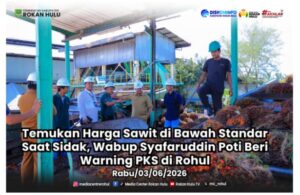 IMG-20260825-WA0178