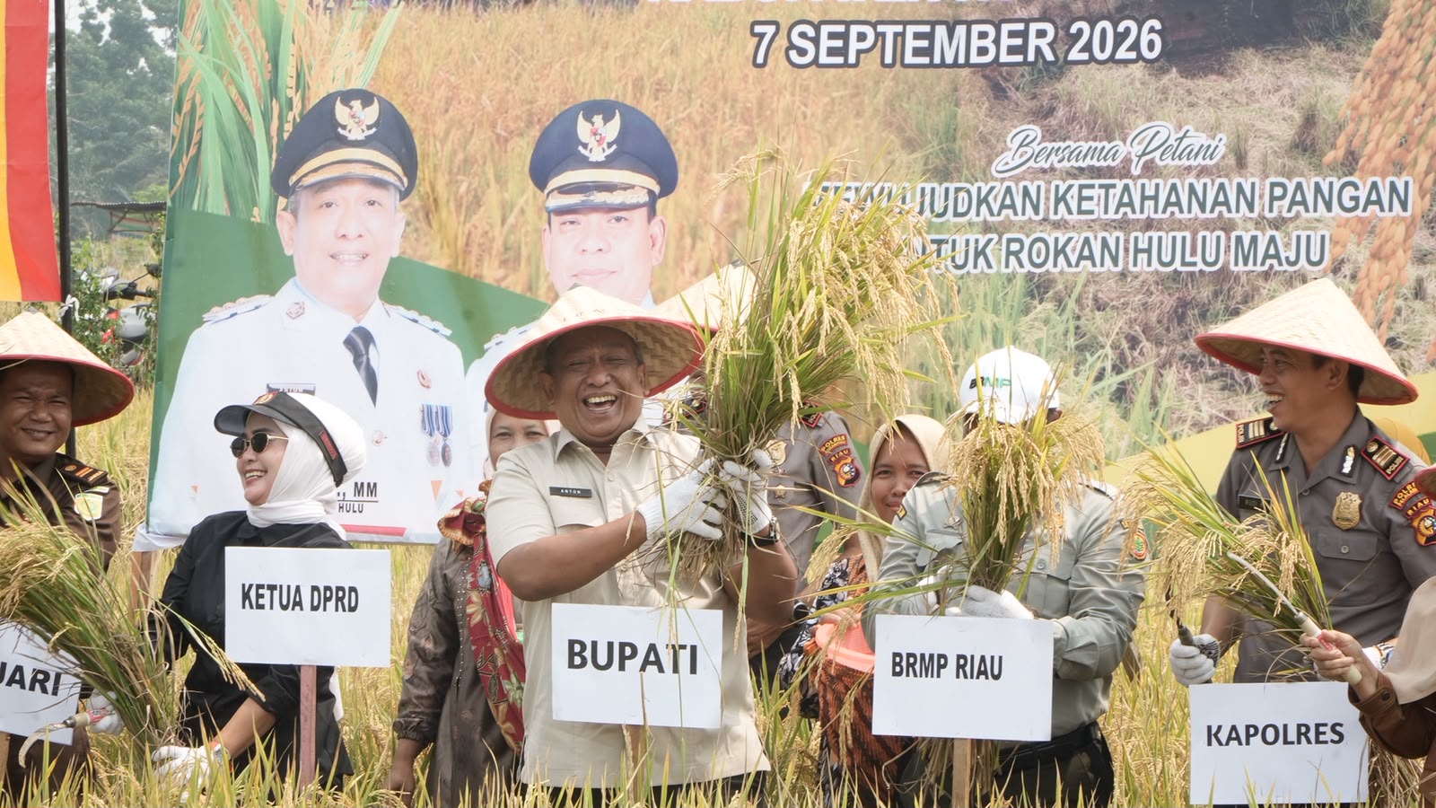 Pemkab Rohul Dorong Peningkatan Produktifitas Pertanian, Capai 8,9 ton Perhektar