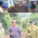 Pupuk Kompos Hingga Pakan Fermentasi Dikembangkan, Pemdes Suka Jaya Harapkan Perhatian Pemkab Kaur