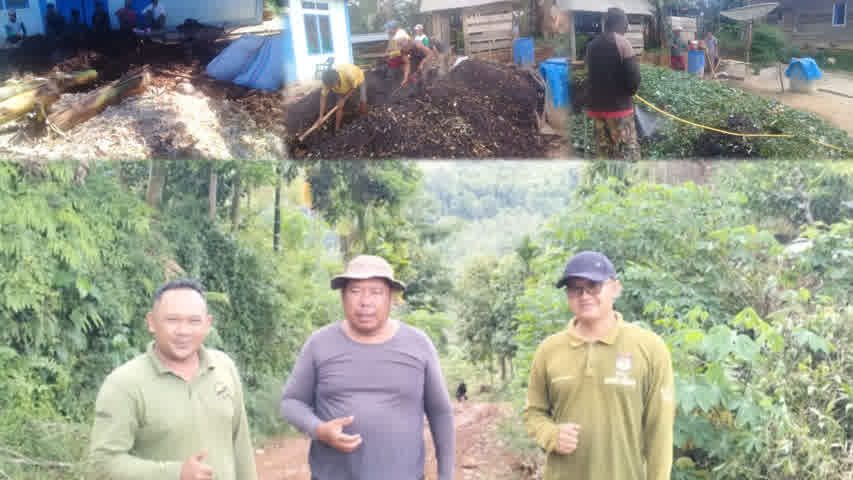 Pupuk Kompos Hingga Pakan Fermentasi Dikembangkan, Pemdes Suka Jaya Harapkan Perhatian Pemkab Kaur